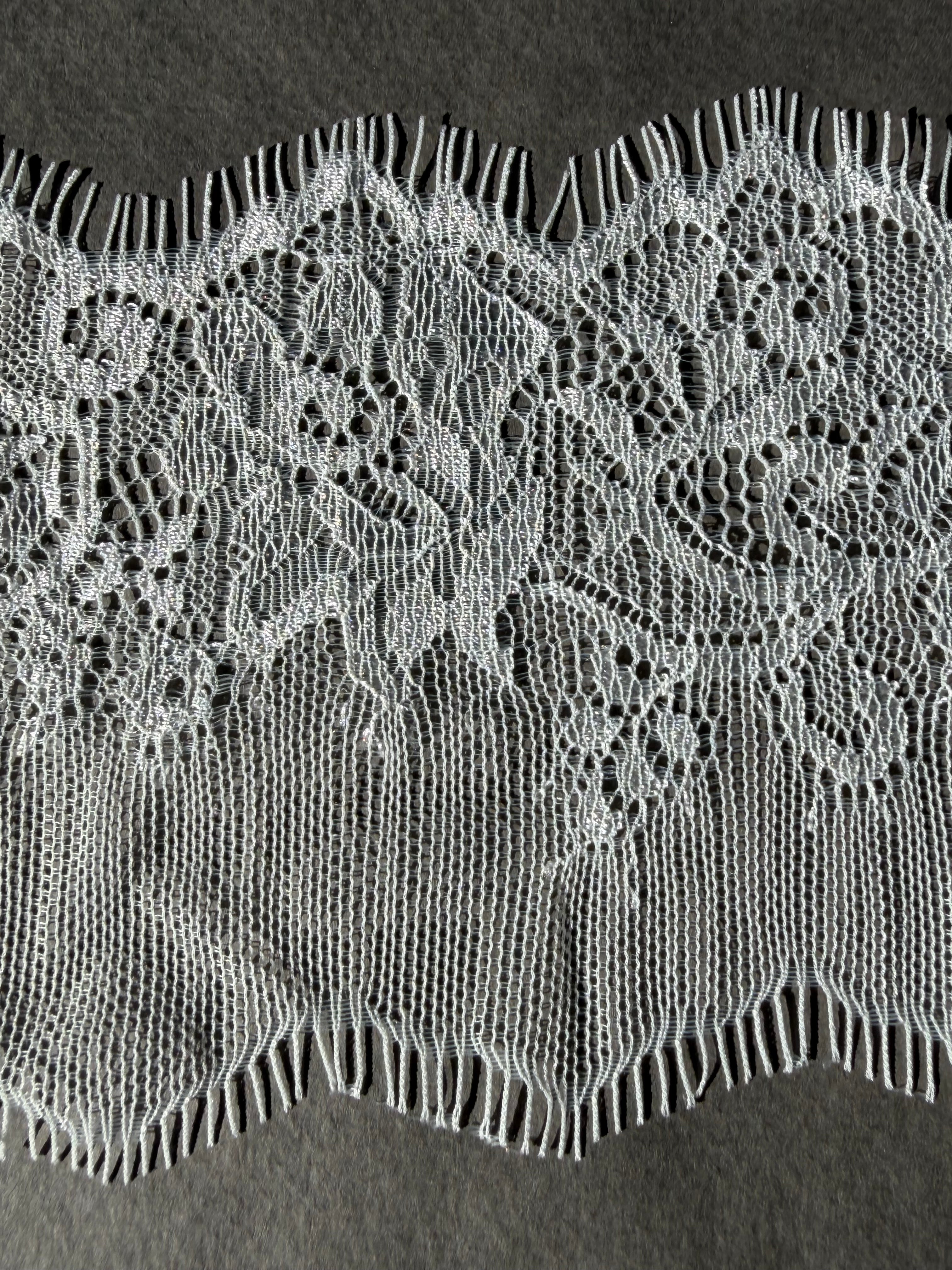 Close up white chantilly lace 10cm SP Haberdashery uckland NZ
