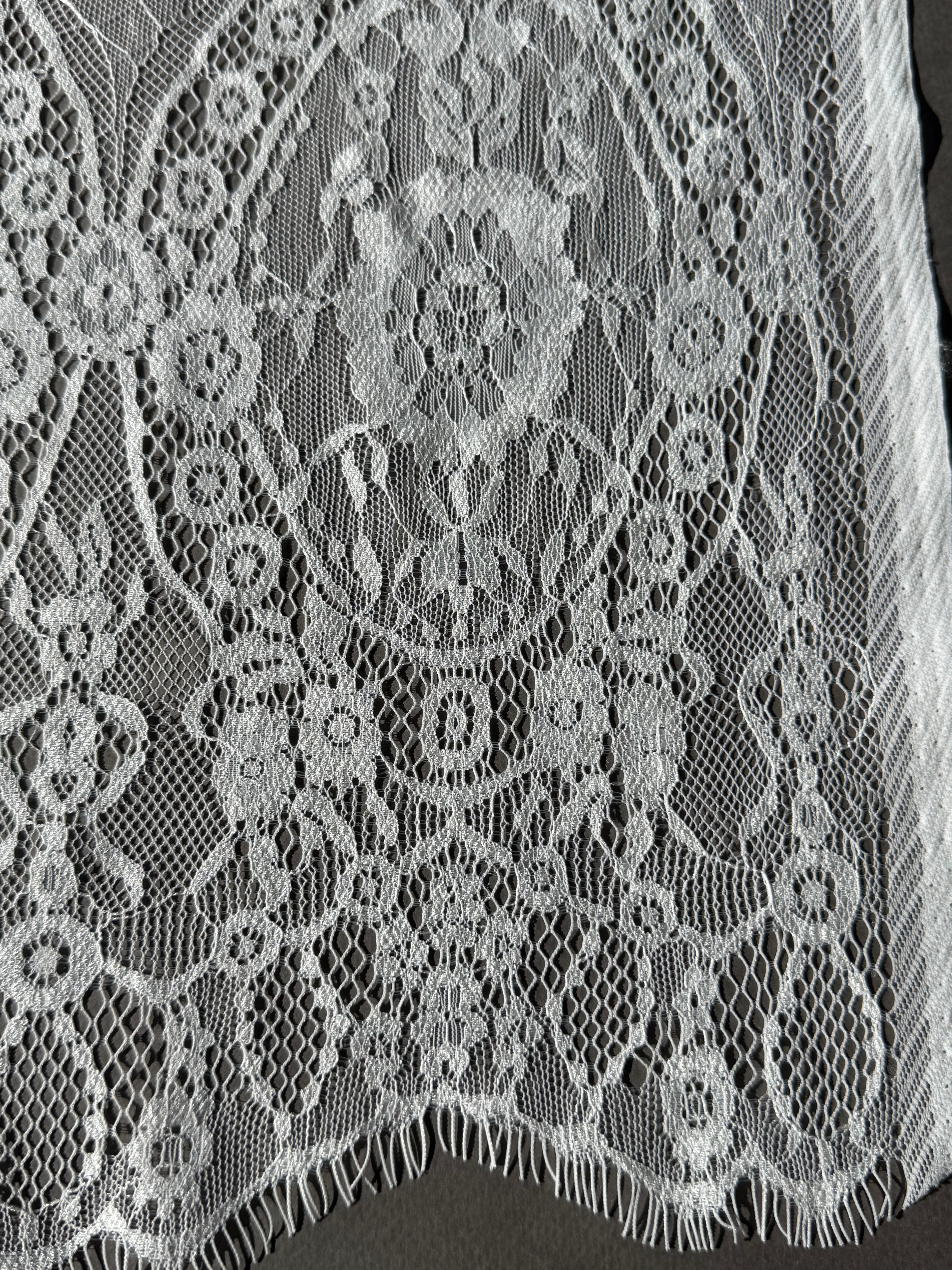 Close up white chantilly lace 35cm Sp Haberdashery Auckland NZ