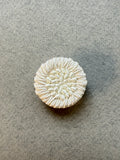 Passementerie shank button flat ivory satin cord SP Haberdashery Auckland NZ