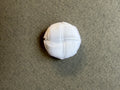 Wite velvet passementeri  shank button SP Haberdashery Auckland NZ